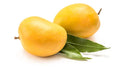 Two mangoes with a green leaf on a white background